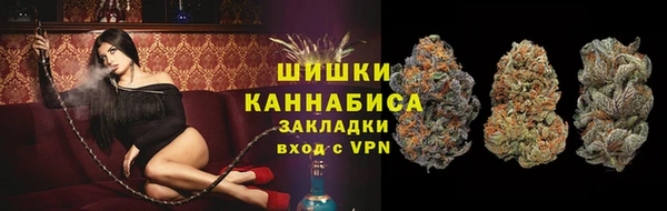ешки Пересвет