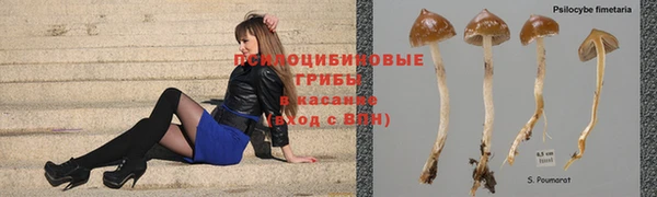 ешки Пересвет