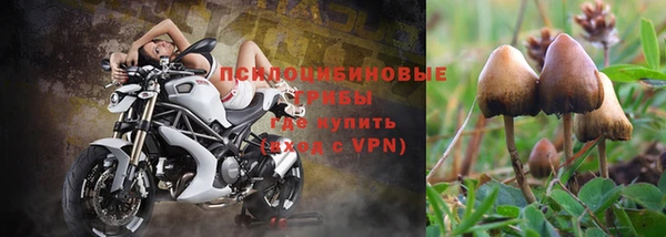 ALPHA PVP Переславль-Залесский